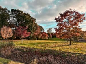 Embrace The Magic Of Autumn: Why A Holiday Park Makes For A Great Getaway