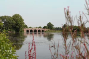 A Capability Brown parkland