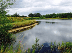 Allerthorpe Lakeland Park