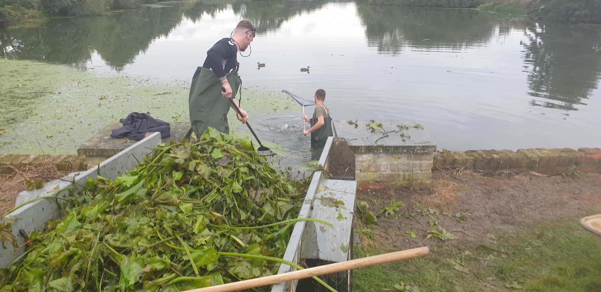Removing lilies from the north lake