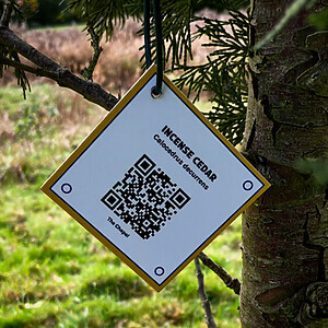 Labelling the arboretum trees