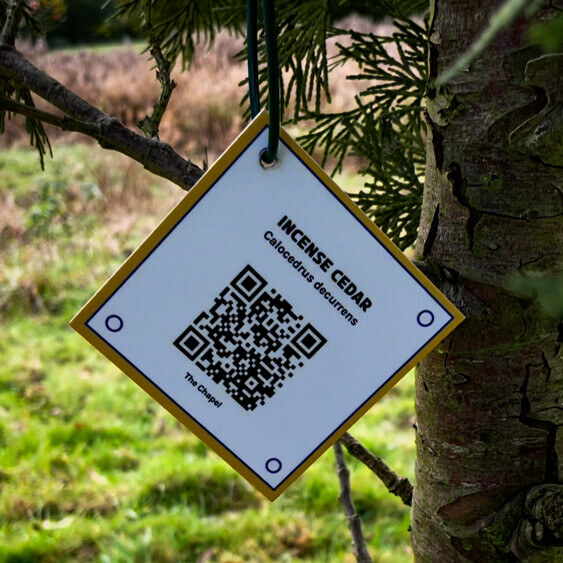 Labelling the arboretum trees