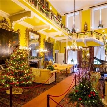 Cobwebs & cream teas at Christmas