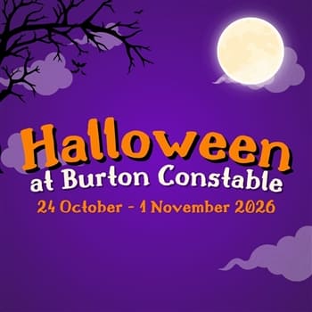 Halloween Half-Term Fun!